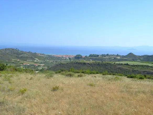 Land In Kassandra, Greece