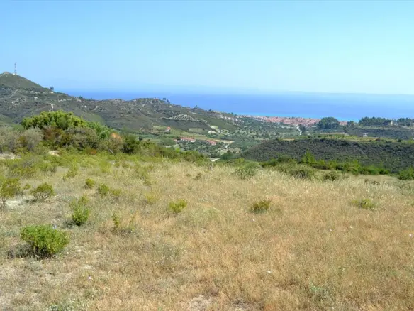 Land In Kassandra, Greece