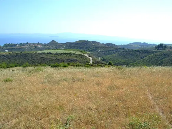 Land In Kassandra, Greece