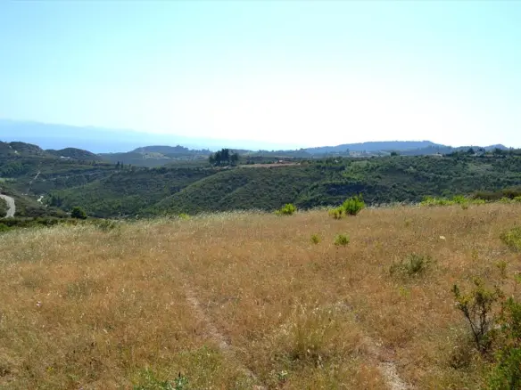 Land In Kassandra, Greece