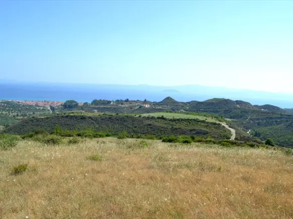 Land In Kassandra, Greece