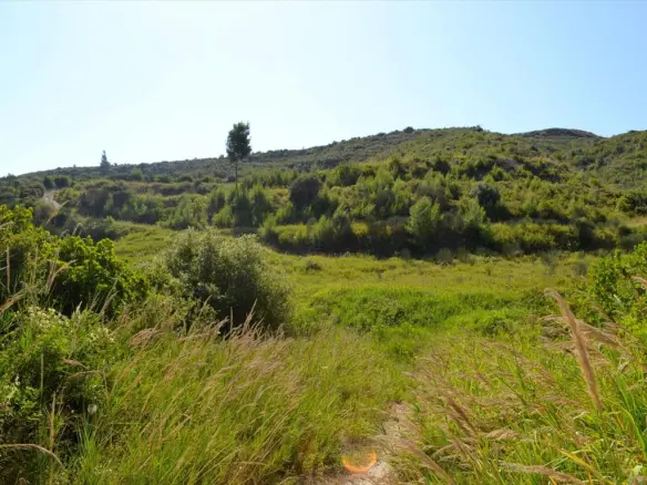 Land In Kassandra, Greece