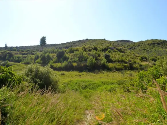Land In Kassandra, Greece