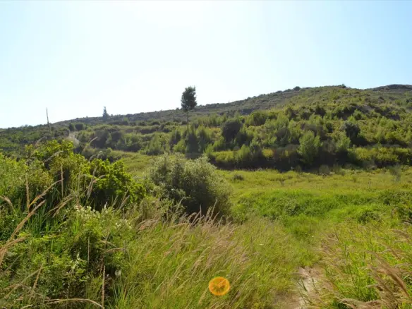 Land In Kassandra, Greece