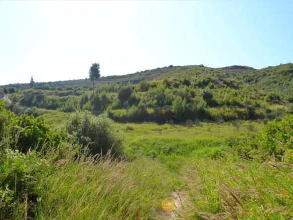 Land In Kassandra, Greece