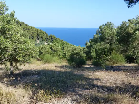 Land In Kassandra, Greece