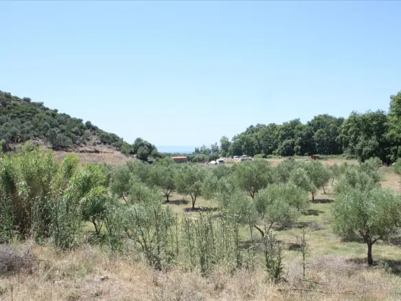 Land In Sithonia, Greece