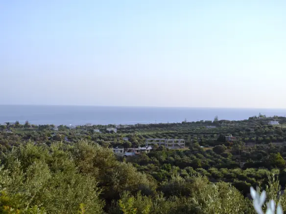 Land In Arkadi, Greece (4.800 M²)