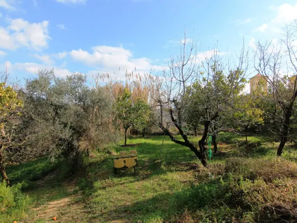 6-bedroom Detached House In Corfu, Greece (256 M²)