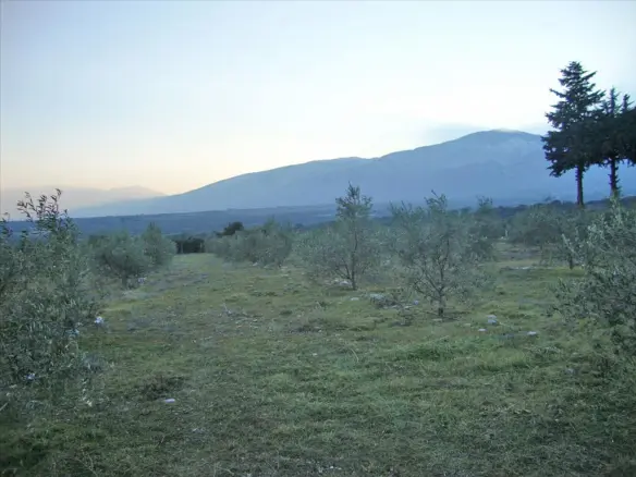 Land In Litochoro, Greece