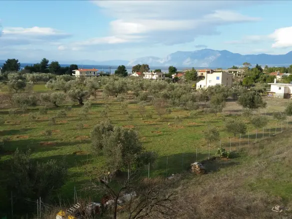 6-bedroom Detached House In Anthidonos, Greece (420 M²)