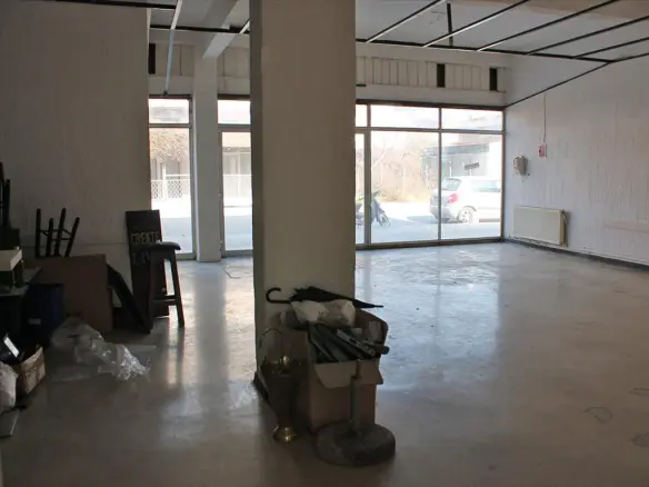 Business In Katerini, Greece (140 M²)