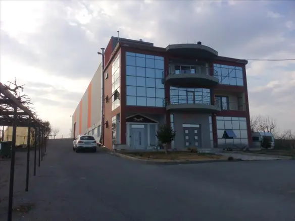 Business In Greece (1.650 M²)