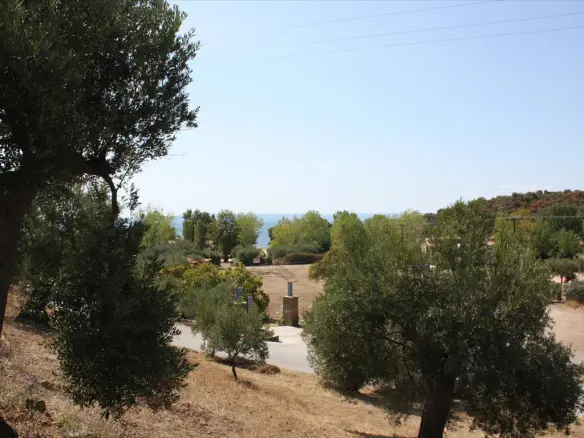 Land In Sithonia, Greece