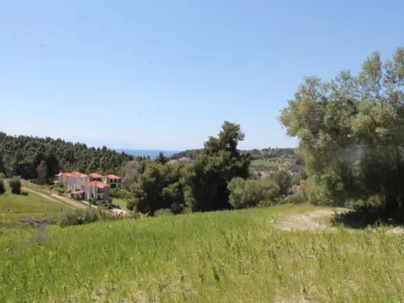 Land In Kassandra, Greece