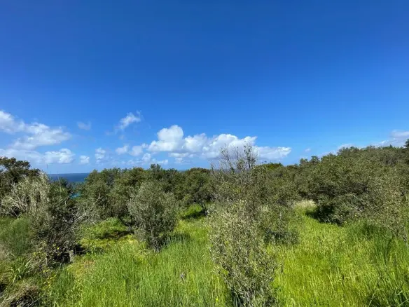 Land In Corfu, Greece
