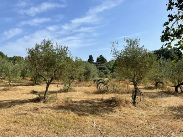 Land In Corfu, Greece