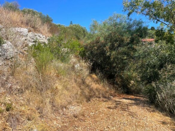 Land In Corfu, Greece