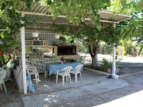 Business In Greece (500 M²)