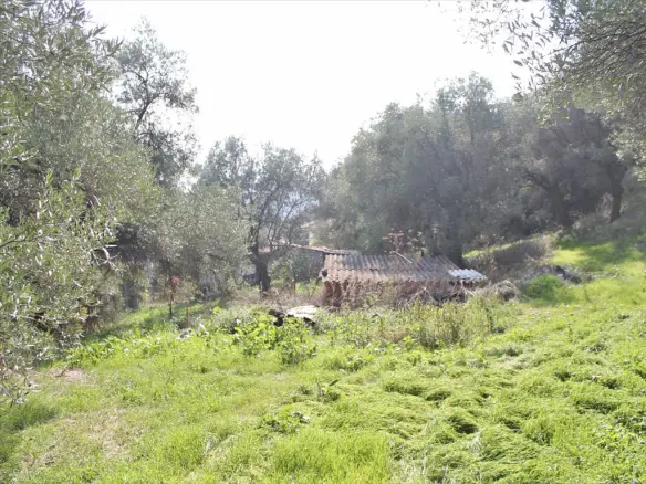 Land In Kassandra, Greece