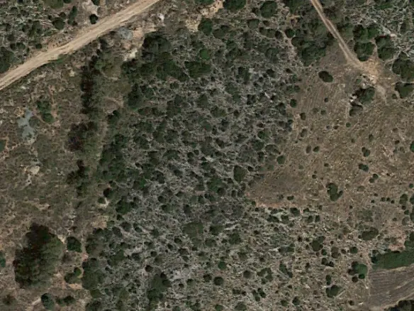 Land In Greece