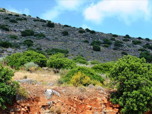 Land In Elounda, Greece