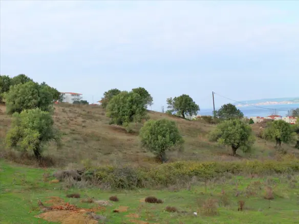 Land In Kassandra, Greece