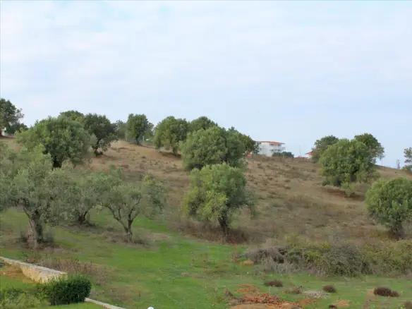 Land In Kassandra, Greece