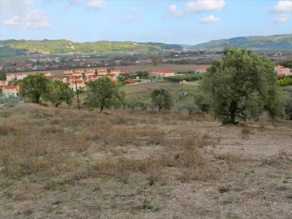 Land In Kassandra, Greece