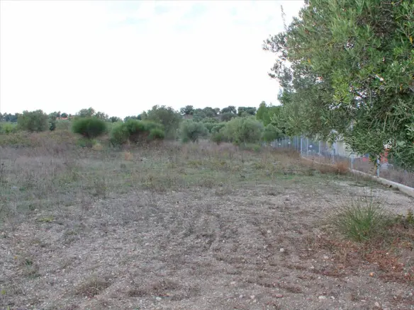 Land In Kassandra, Greece