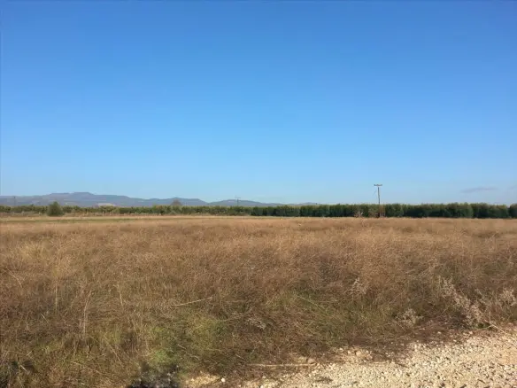 Land In Sithonia, Greece