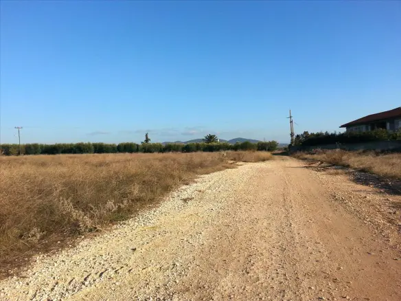 Land In Sithonia, Greece