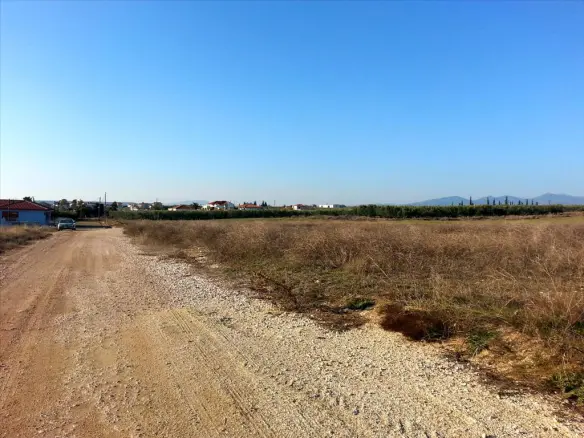 Land In Sithonia, Greece