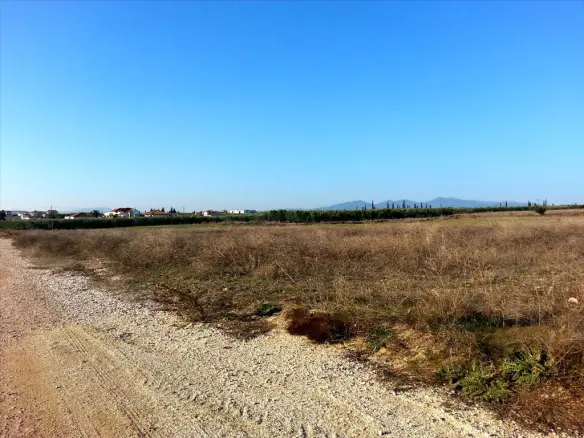 Land In Sithonia, Greece