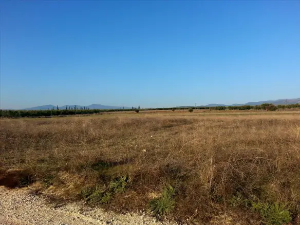 Land In Sithonia, Greece