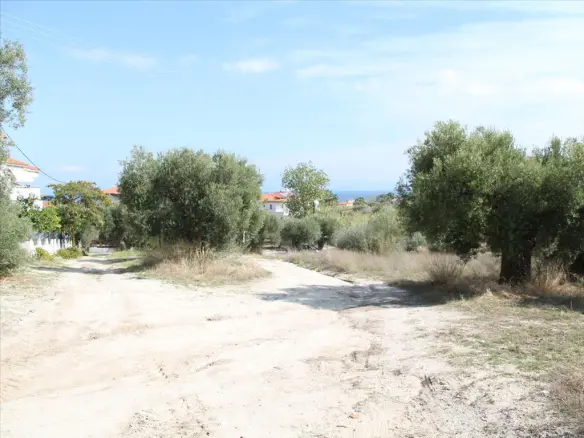 Land In Kassandra, Greece (3.503 M²)