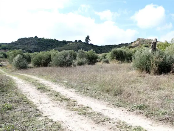 Land In Kassandra, Greece (3.503 M²)