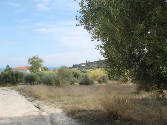 Land In Kassandra, Greece (3.503 M²)