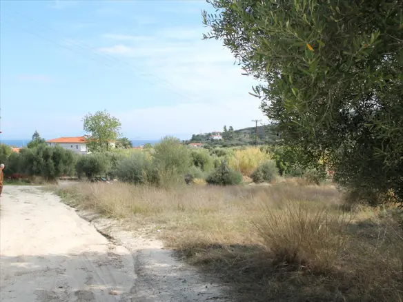 Land In Kassandra, Greece (3.503 M²)