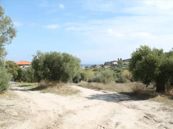 Land In Kassandra, Greece (3.503 M²)