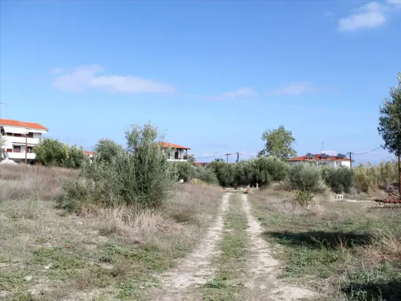 Land In Kassandra, Greece (3.503 M²)