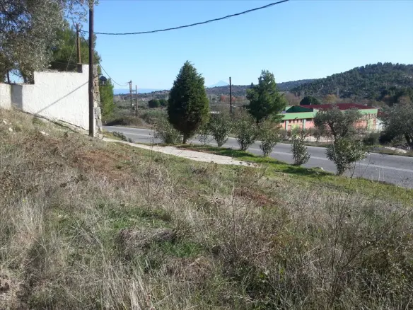 Land In Sithonia, Greece