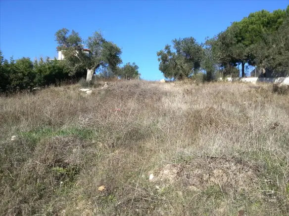 Land In Sithonia, Greece