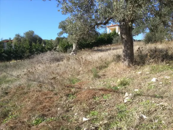 Land In Sithonia, Greece