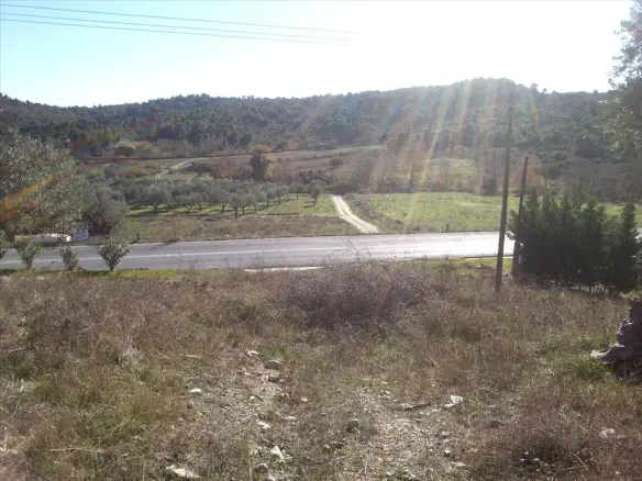 Land In Sithonia, Greece