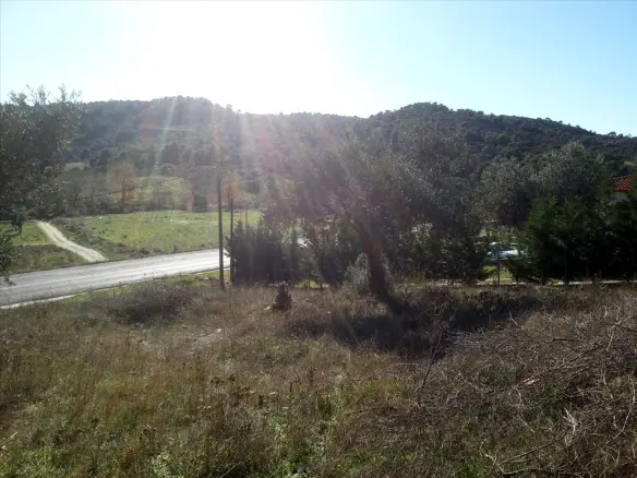 Land In Sithonia, Greece