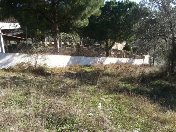 Land In Sithonia, Greece