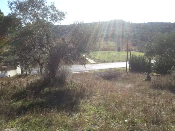Land In Sithonia, Greece