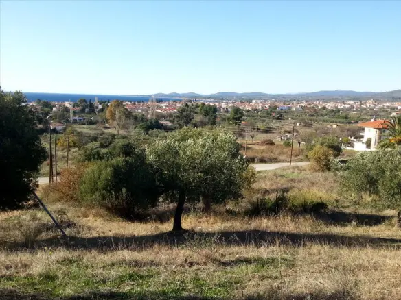 Land In Sithonia, Greece