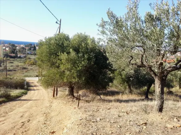 Land In Sithonia, Greece